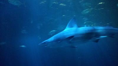 Travel photo