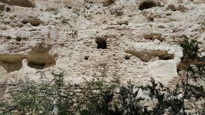 Montezuma Castle.  The bark on the trees here was very interesting.