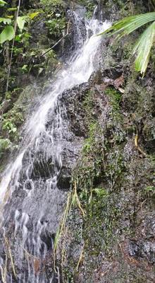 Raise your hand if you hiked the jungles of Ecuador today. Our guide said he's been doing this for 16 years and we're o
