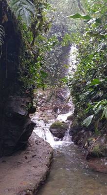 Raise your hand if you hiked the jungles of Ecuador today. Our guide said he's been doing this for 16 years and we're o