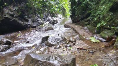 Raise your hand if you hiked the jungles of Ecuador today. Our guide said he's been doing this for 16 years and we're o