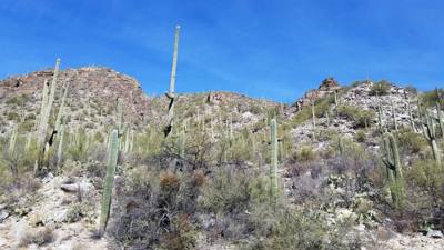 Sabino Canyon (Part 1)