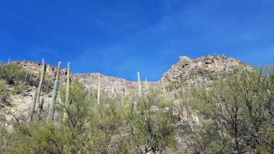 Sabino Canyon (Part 1)