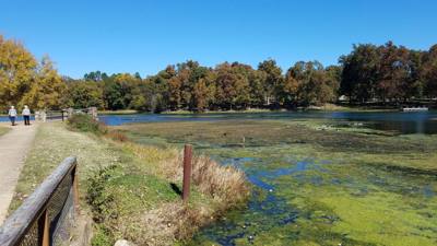 Julie and I took a little side trip while on our way back from Memphis. This is a neat little Park.
