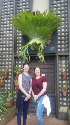 Alien plants at the Balboa Park Botanical
