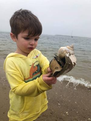 Found a pretty good sized sea snail.  Noel dug it out.  Let Avery experience it before we put it back in its hole.