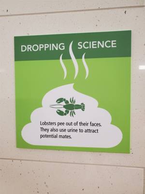 The things you learn at the aquarium