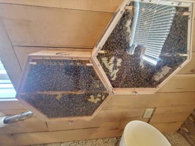 Our first visit to a meadery.  Interesting.  Picked up a bottle of a dryer mead with cinnamon and several types of honey