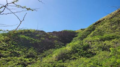 A hike up Diamond Head to get the day started.