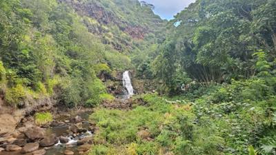 Wet afternoon at Weimea Falls. Got to the top and it started raining hard. Julie and Aaron stepped in the pool below t