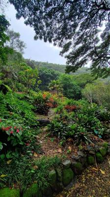 Wet afternoon at Weimea Falls. Got to the top and it started raining hard. Julie and Aaron stepped in the pool below t