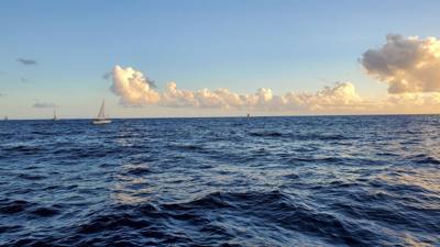 Sunset Cruise before dinner. Great way to end the day. Had some good whale watching and got to see Diamond Head from the