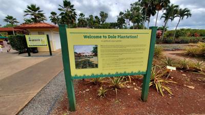 On our Rotten Tomatoes list for our Hawaii trip is the Dole Plantation.  3 things to do and a 45 minutes wait for the tr