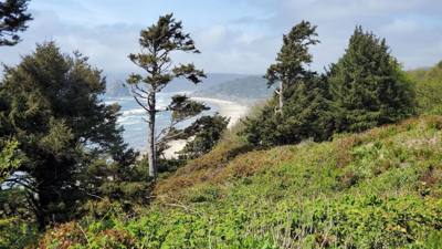 Random pics from the coast of Oregon