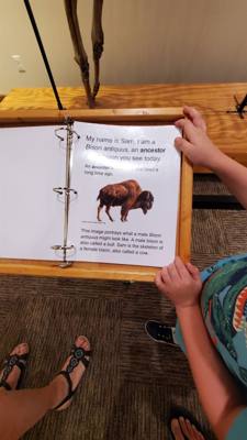 A quick stop at National Buffalo Museum on the way to Bismarck today.  Got my learn on.