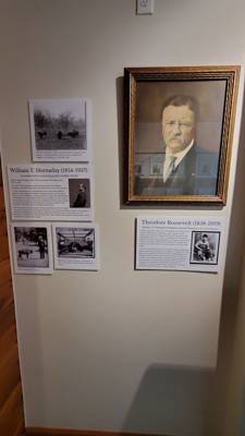 A quick stop at National Buffalo Museum on the way to Bismarck today.  Got my learn on.