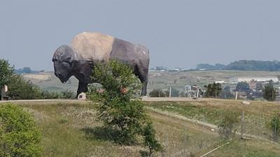 A quick stop at National Buffalo Museum on the way to Bismarck today.  Got my learn on.