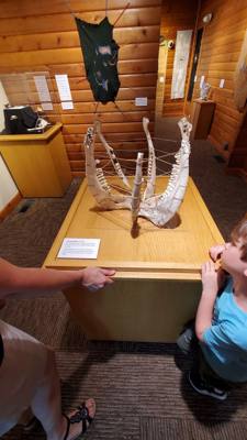 A quick stop at National Buffalo Museum on the way to Bismarck today.  Got my learn on.