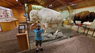 A quick stop at National Buffalo Museum on the way to Bismarck today.  Got my learn on.