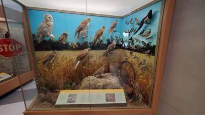 Travel photo