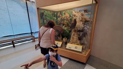 Travel photo