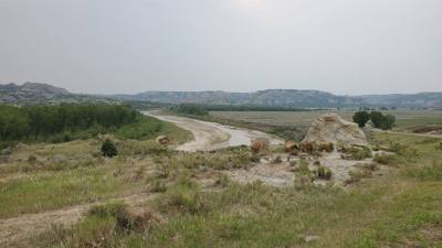 Spectacular day exploring the North Unit of Theodore Roosevelt National Park.  Lots of critters and great scenery. Hiked