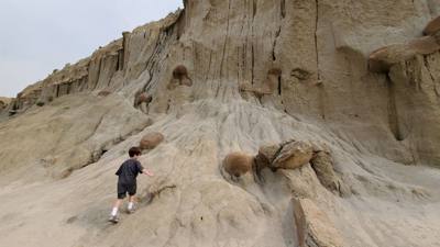 Spectacular day exploring the North Unit of Theodore Roosevelt National Park.  Lots of critters and great scenery. Hiked
