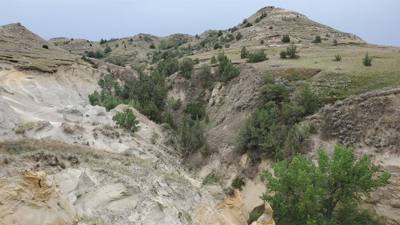 We left Williston North Dakota to head for the south unit of the Theodore Roosevelt National Park. Tonight we're staying