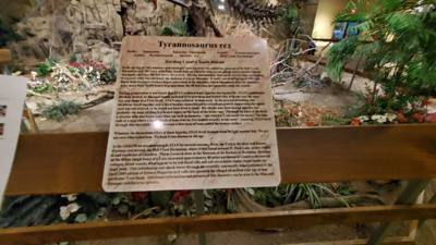 Fossils are always good and Avery is a dinosaur enthusiast. That said, I had to hold my tongue a little in this place.