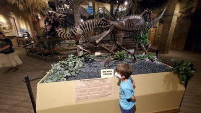 Fossils are always good and Avery is a dinosaur enthusiast. That said, I had to hold my tongue a little in this place.