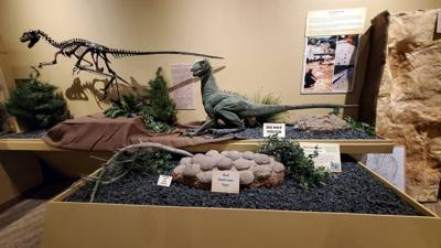 Fossils are always good and Avery is a dinosaur enthusiast. That said, I had to hold my tongue a little in this place.