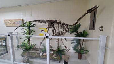 We'll call this one s bonus stop.  It was right next to the dinosaur museum and had a sign starting free admission so wh