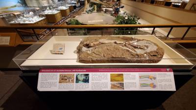Travel photo