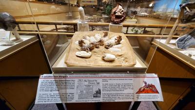 Travel photo