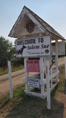 Salem Sue was right by the highway so why not...