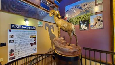 First stop today is the Cripple Creek Heritage Museum.