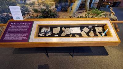 First stop today is the Cripple Creek Heritage Museum.