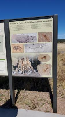 A visit to the Florissant Fossil Beds National Monument.  The visitor center was closed but we got to hike around the pa