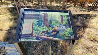 A visit to the Florissant Fossil Beds National Monument.  The visitor center was closed but we got to hike around the pa