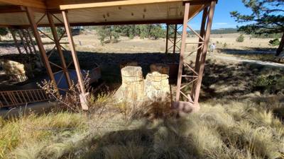 A visit to the Florissant Fossil Beds National Monument.  The visitor center was closed but we got to hike around the pa