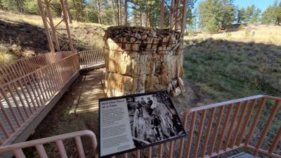 A visit to the Florissant Fossil Beds National Monument.  The visitor center was closed but we got to hike around the pa