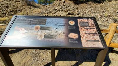 A visit to the Florissant Fossil Beds National Monument.  The visitor center was closed but we got to hike around the pa