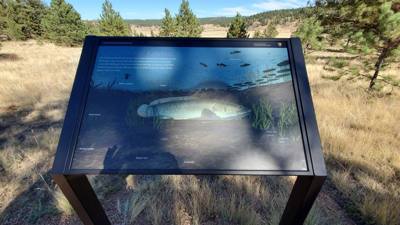 A visit to the Florissant Fossil Beds National Monument.  The visitor center was closed but we got to hike around the pa
