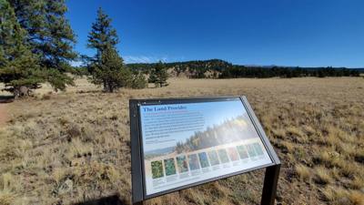 A visit to the Florissant Fossil Beds National Monument.  The visitor center was closed but we got to hike around the pa