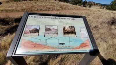 A visit to the Florissant Fossil Beds National Monument.  The visitor center was closed but we got to hike around the pa