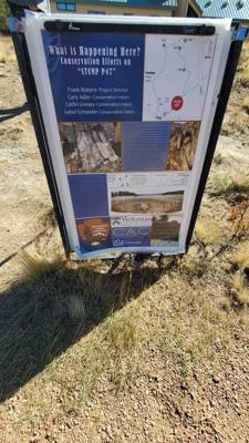 A visit to the Florissant Fossil Beds National Monument.  The visitor center was closed but we got to hike around the pa