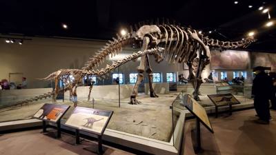 The trip wouldn't be complete without a visit to the Field Museum.