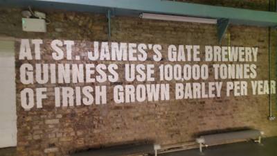 Took a tour of the Guinness Storehouse.  Free beer what?
