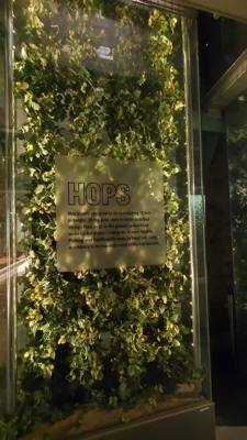 Took a tour of the Guinness Storehouse.  Free beer what?