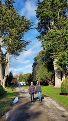 Phoenix Park is the largest gated park in a European capital. So of course…we had to go there!

They had deer, lots of b